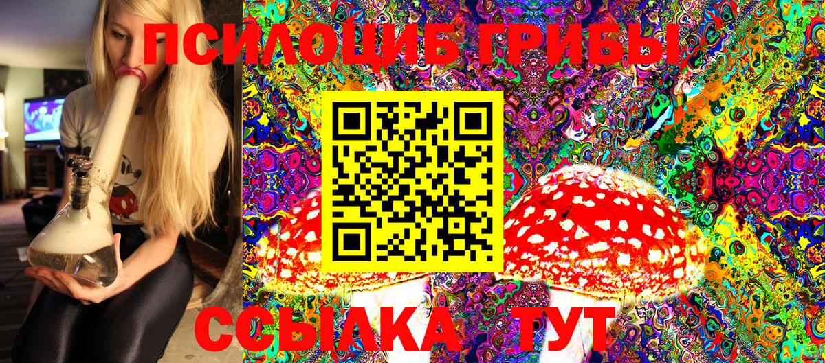 Псилоцибиновые грибы MAGIC MUSHROOMS Киселёвск